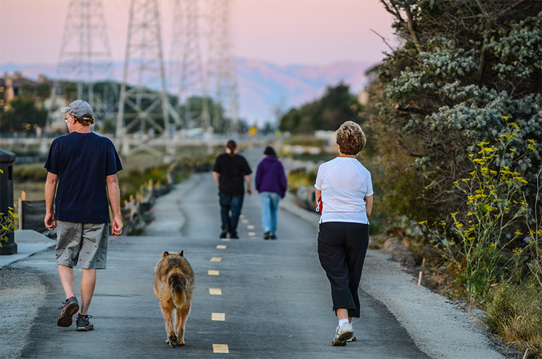 An older man, a brown German Sheppard, and an older woman walk along a paved pedestrian path at sunset